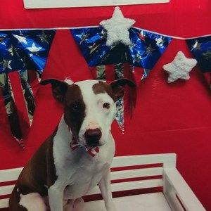 Meet your Posher, Dena